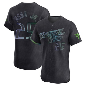 Men's Tampa Bay Rays Victor Mesa Jr. Charcoal 2024 City Connect Jersey - Elite