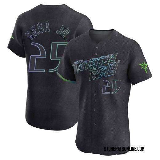 Men's Tampa Bay Rays Victor Mesa Jr. Charcoal 2024 City Connect Jersey - Elite