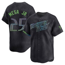 Men's Tampa Bay Rays Victor Mesa Jr. Charcoal 2024 City Connect Jersey - Limited