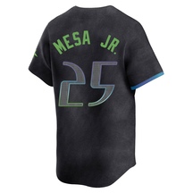 Men's Tampa Bay Rays Victor Mesa Jr. Charcoal 2024 City Connect Jersey - Limited