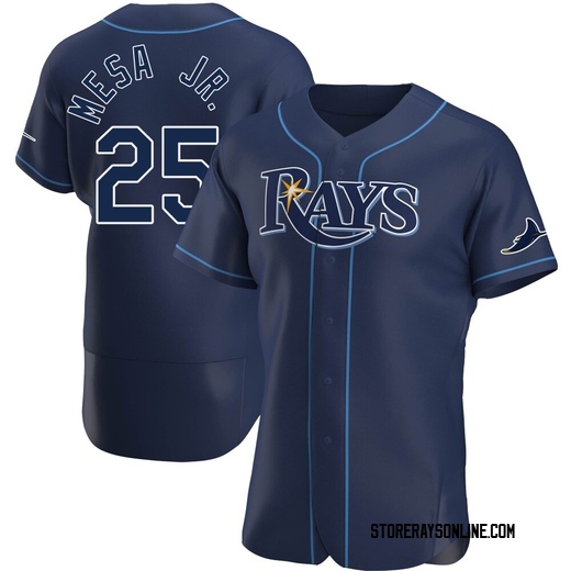 Men's Tampa Bay Rays Victor Mesa Jr. Navy Alternate Jersey - Authentic