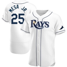 Men's Tampa Bay Rays Victor Mesa Jr. White Home Jersey - Authentic