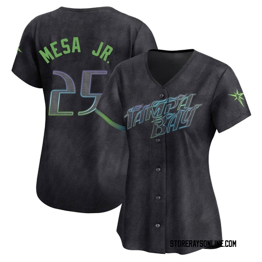 Women's Tampa Bay Rays Victor Mesa Jr. Charcoal 2024 City Connect Jersey - Limited