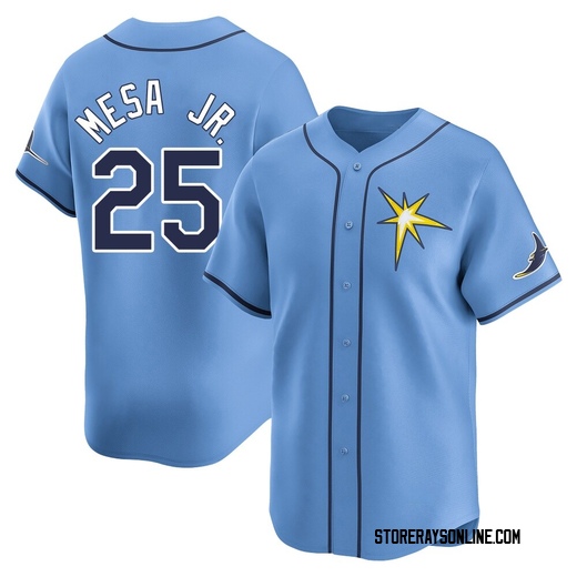 Youth Tampa Bay Rays Victor Mesa Jr. Light Blue Alternate Jersey - Limited