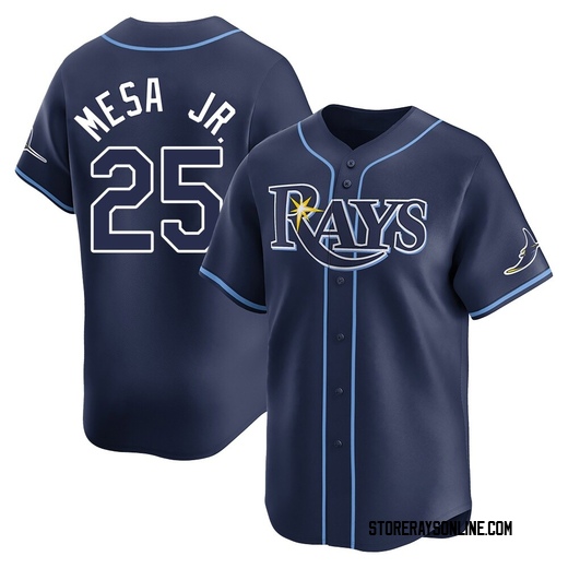 Youth Tampa Bay Rays Victor Mesa Jr. Navy Away Jersey - Limited